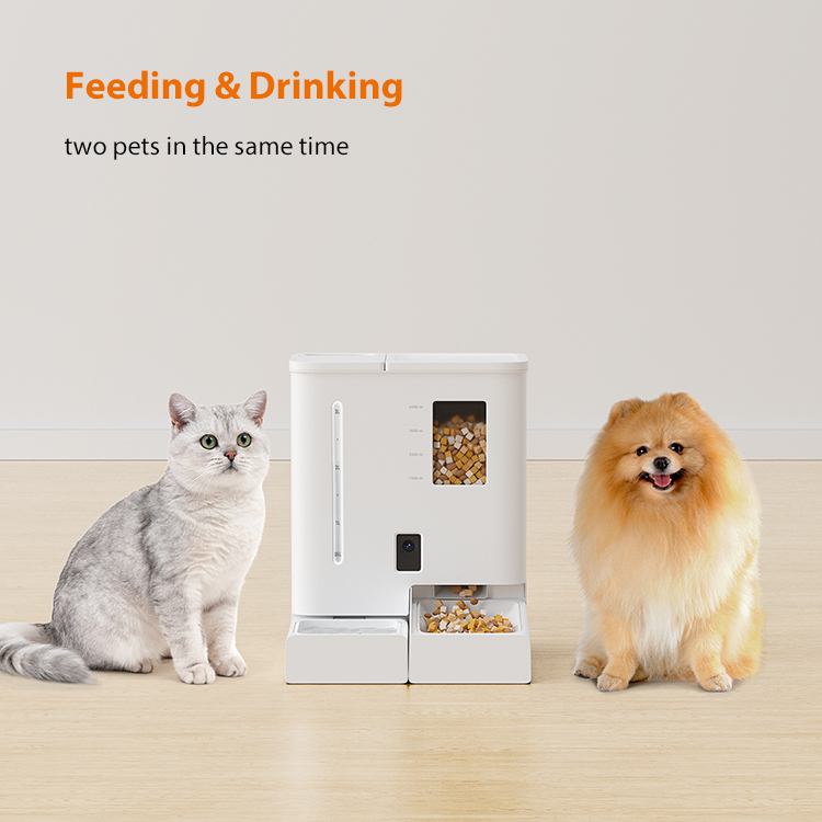 Water Food Camera Automatic Feeder
