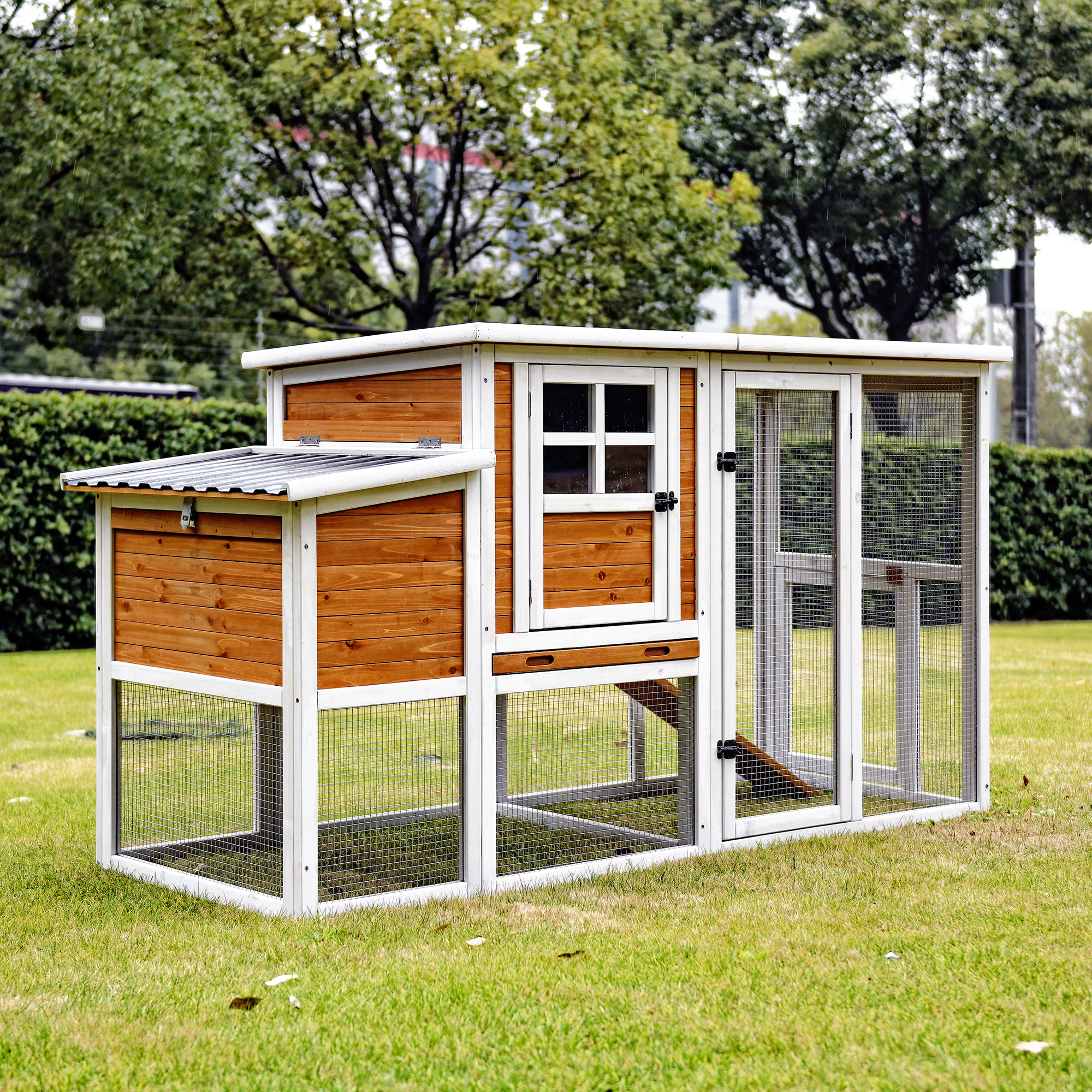Wooden Chicken Coop 4302VN053