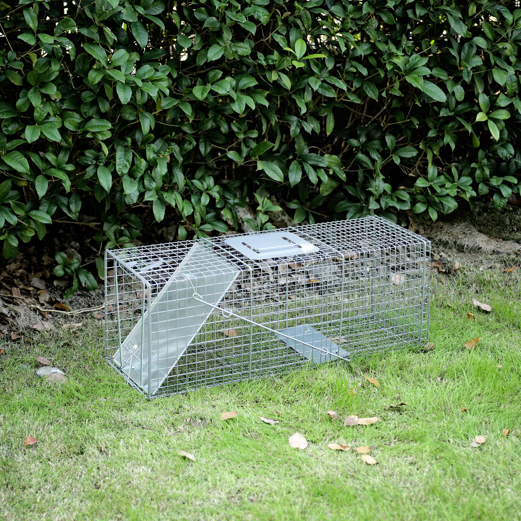 32" 1-Door Live Animal Cage Trap