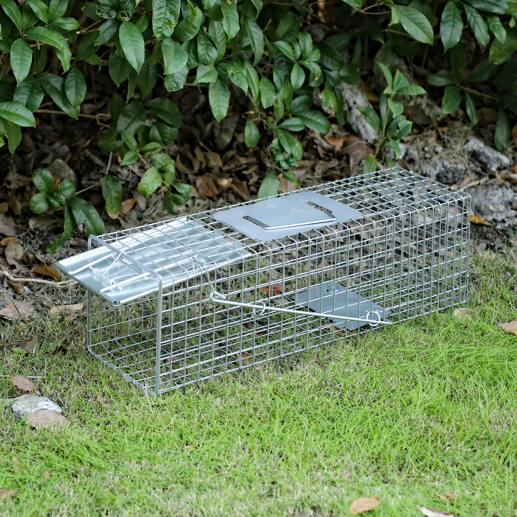 24" 1-Door Live Animal Cage Trap