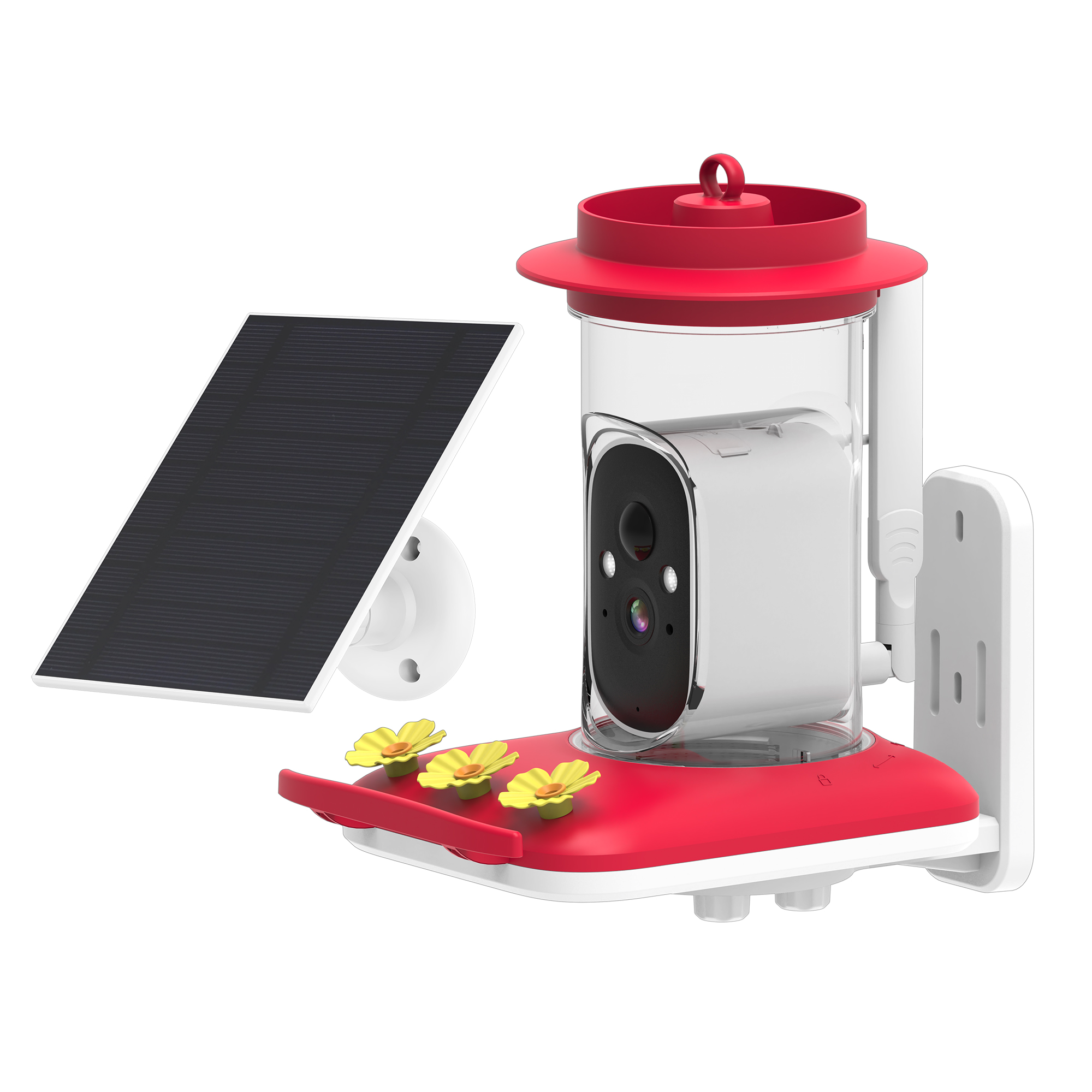 Hummingbird Feeder with Camera