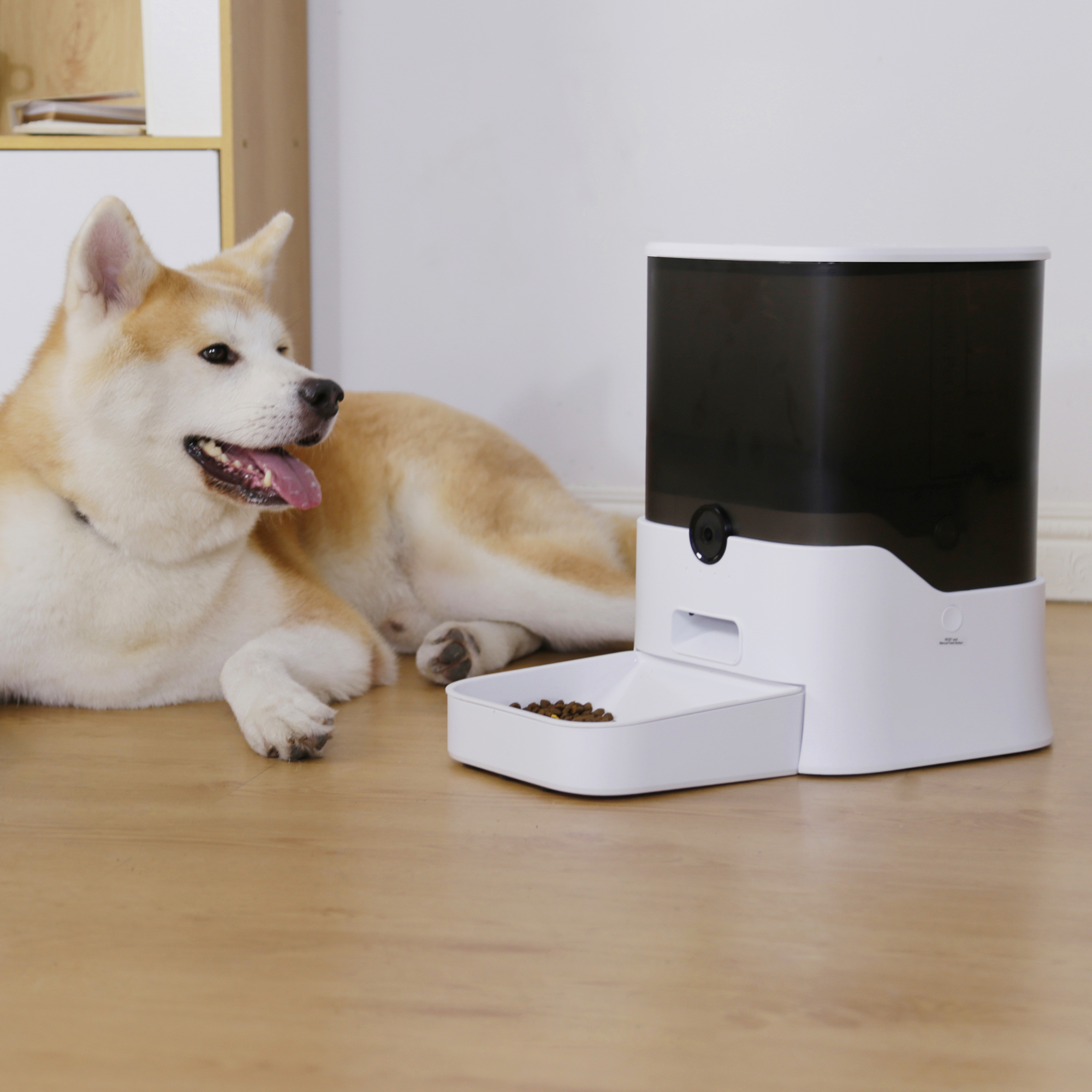 11L Dry food Pet Feeder with camera