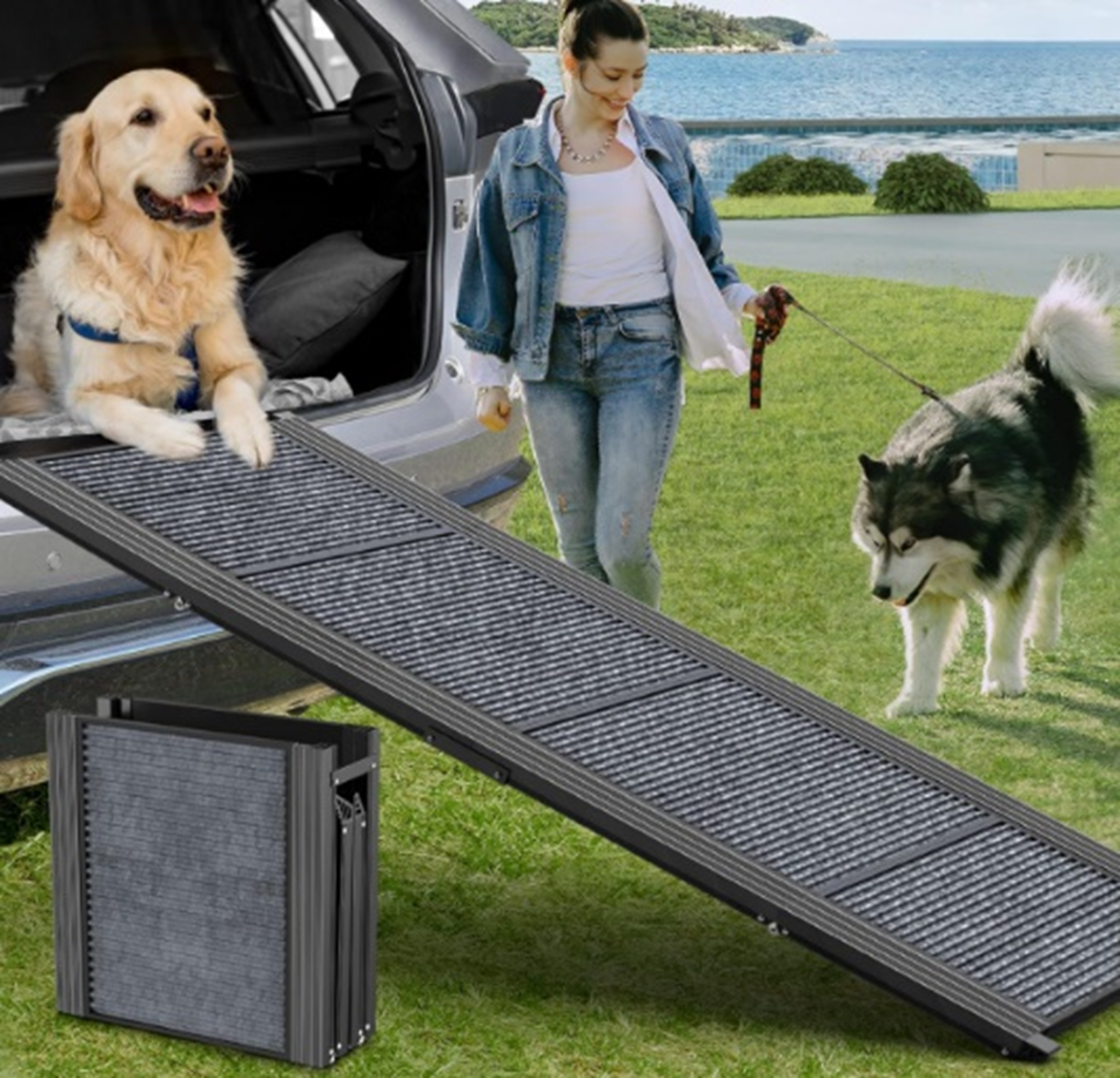 Folding Dog Ramp