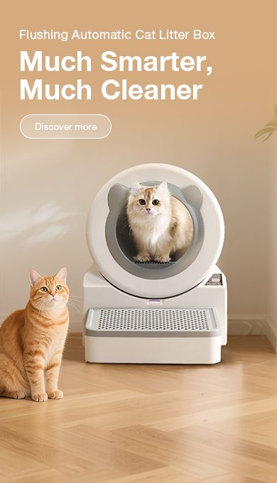 Flushing Automatic Cat Litter Box