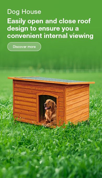  Dog House