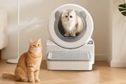 Flushing Automatic Cat Litter Box